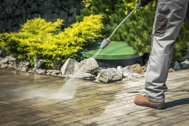 Best Fleet Vehicle Washing  in Glen Ellen, CA